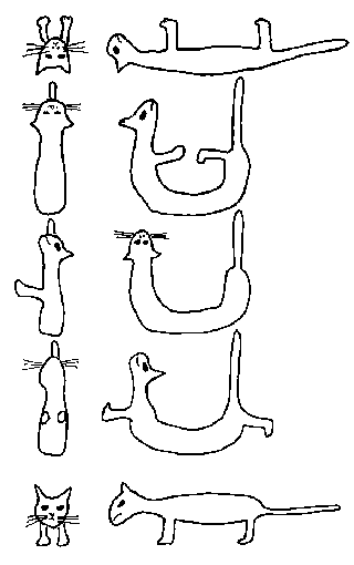 Sub-Riemannian cat